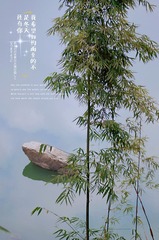 1416558