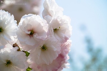 _1010321_fix.jpg
