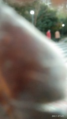 747373
