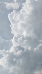 729077