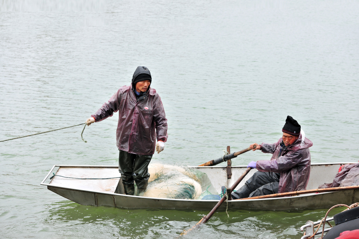 小船捕鱼