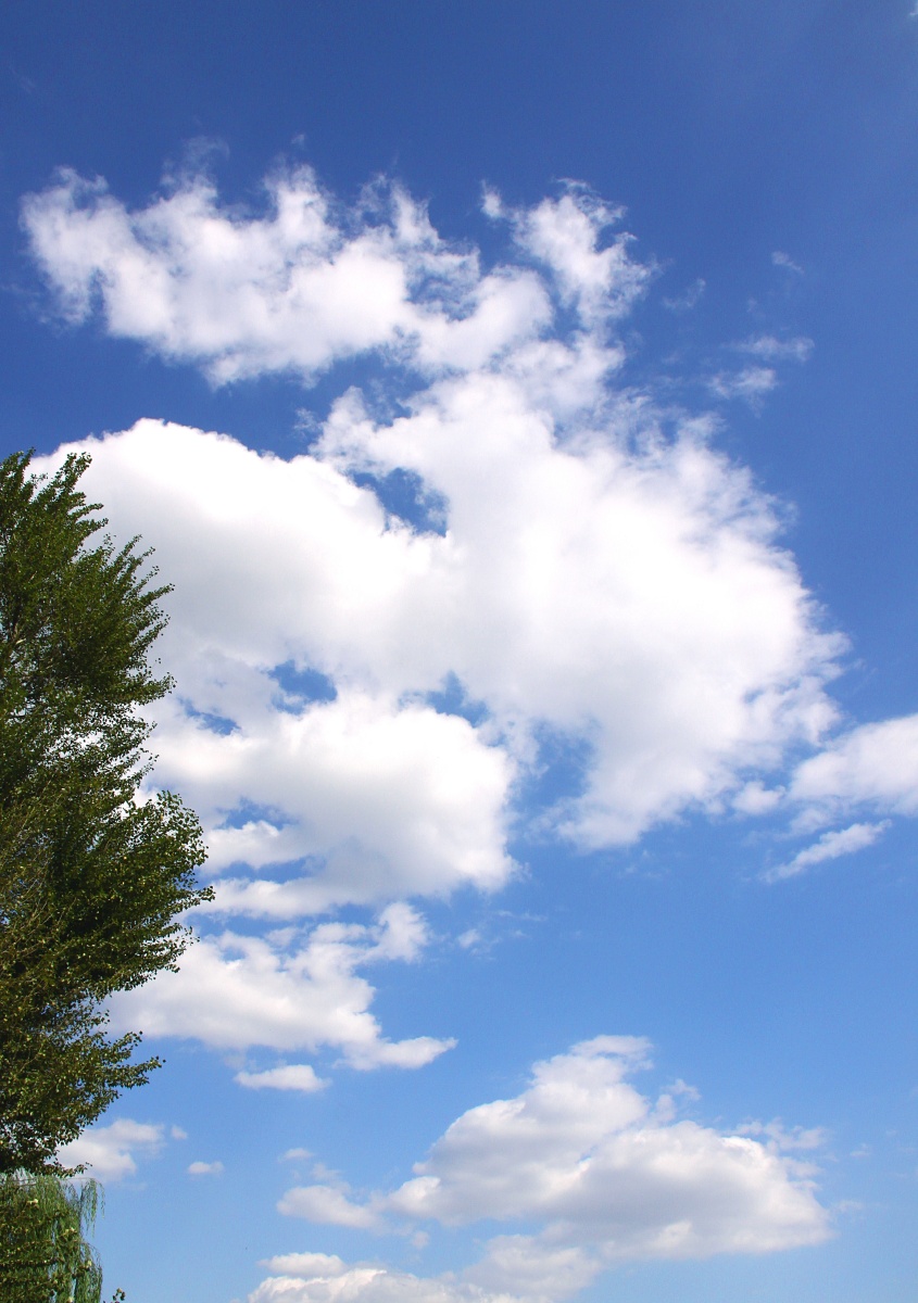 夏天的风带着温度潇洒的吹着夏天的云自由的荡着在蓝天的怀抱白色的