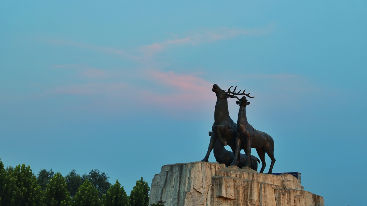 描述的正是河南省鹿邑县当时的美景,因此而得名鸣鹿县. - g摄