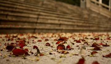 IMG_8685-1.jpg