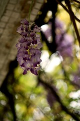 IMG_9033.JPG