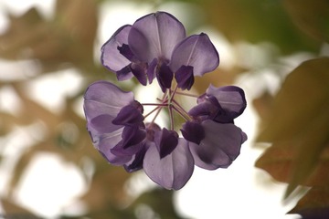 IMG_9023.JPG