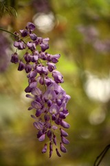 IMG_9027.JPG