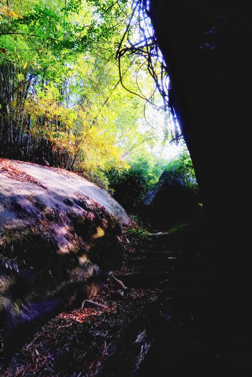 日光下澈,影布石上. - lierresy - 图虫