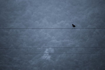 _MG_7568-1-3.jpg