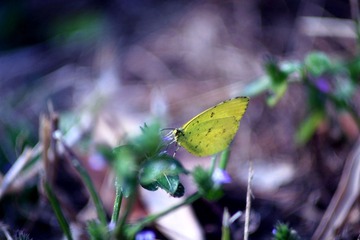 _MG_02893.jpg