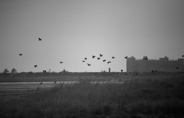 IMG_2059-1.jpg