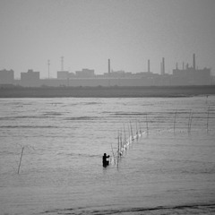 IMG_2107-1.jpg