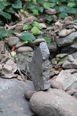 IMG_3389.JPG