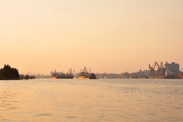 DSC_0318.JPG
