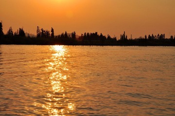 DSC_0319.JPG