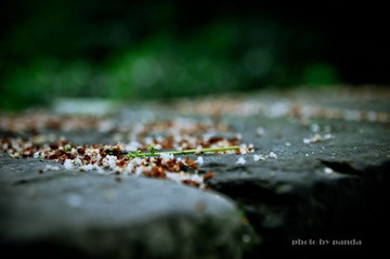 p20130611-DSC_2310.jpg