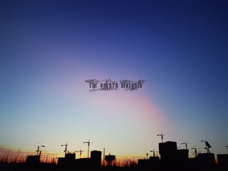 2011-3-19 每日一P