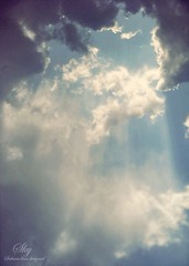 2011-12-14.jpg