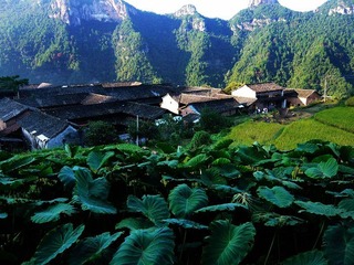 P1060275