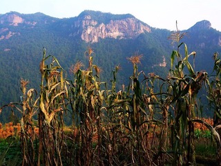 P1060337
