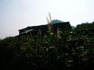 P1060357