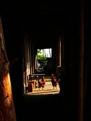 P1060361