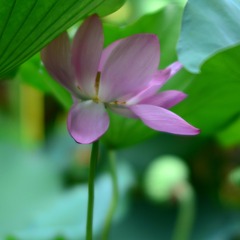 9F615A08-907F-4362-A573-8D7A300526D7/L0/001