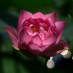 F0AE4118-7702-4DB6-BB82-6E7043083C08/L0/001