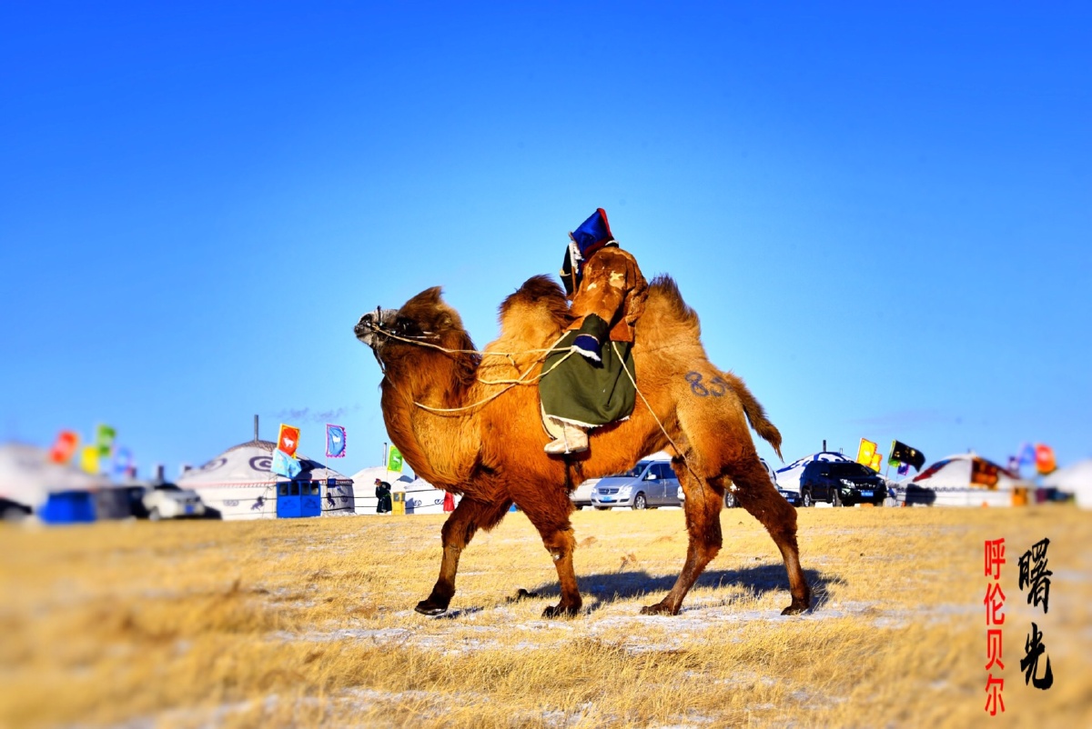 呼伦贝尔陈巴尔虎旗蒙古族勇士们
