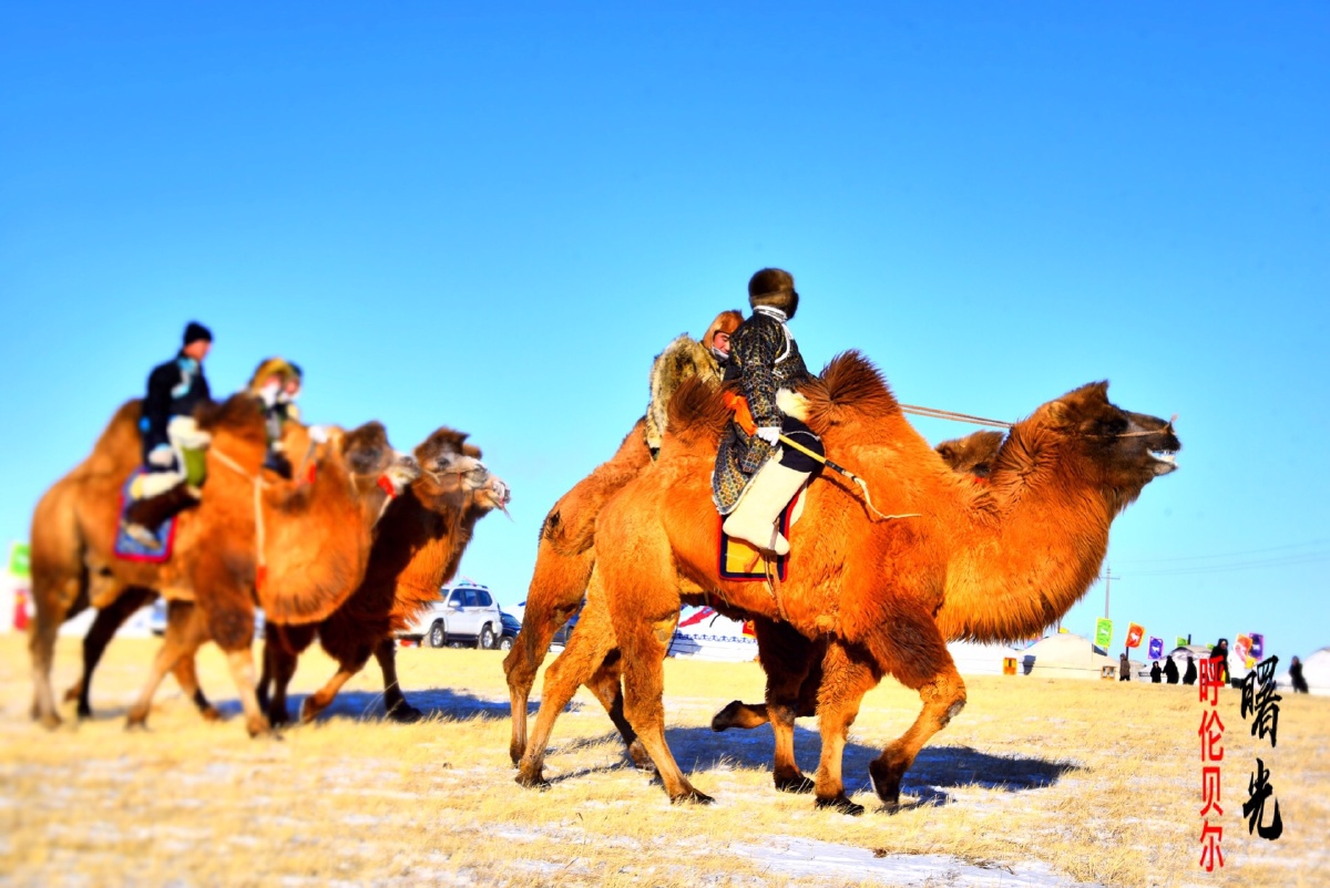 呼伦贝尔陈巴尔虎旗蒙古族勇士们