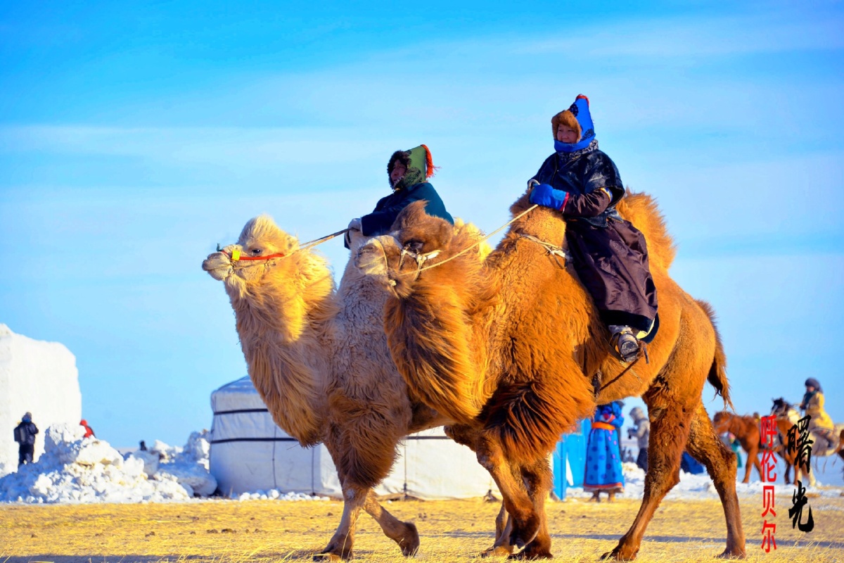 呼伦贝尔陈巴尔虎旗蒙古族勇士们