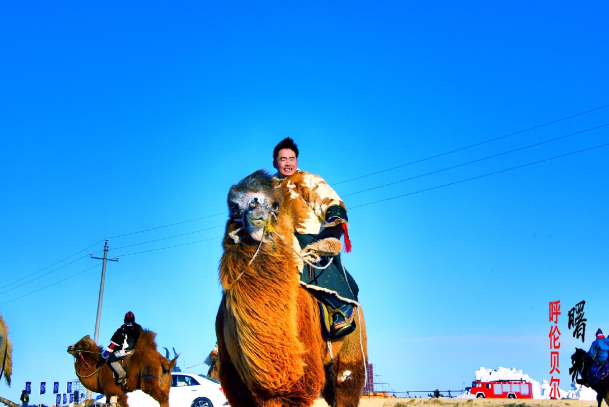 呼伦贝尔陈巴尔虎旗蒙古族勇士们