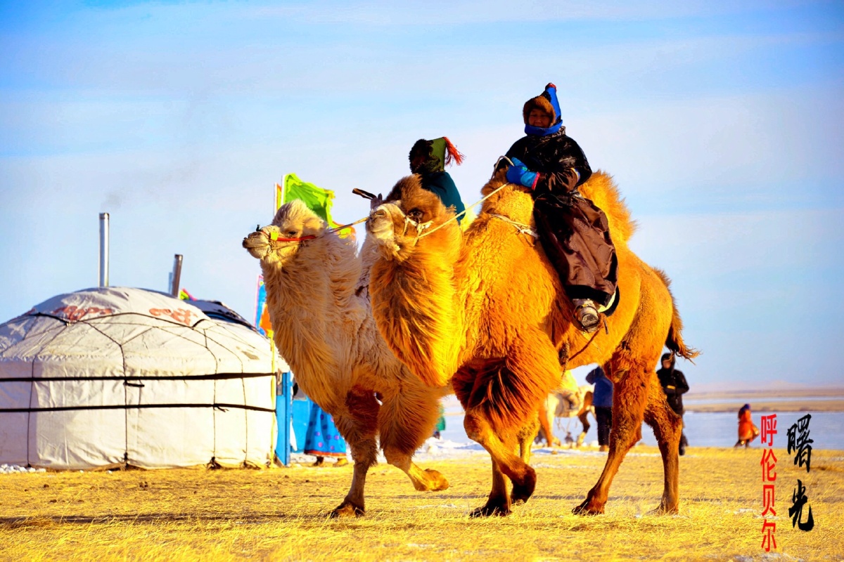 呼伦贝尔陈巴尔虎旗蒙古族勇士们
