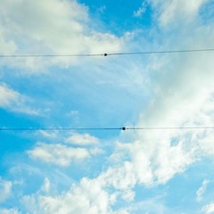 电线和天空
