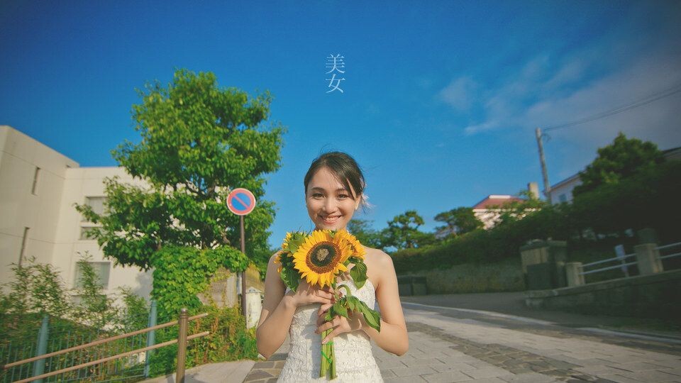 北海道の夏<br />
