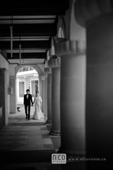 _MG_9373-(2)