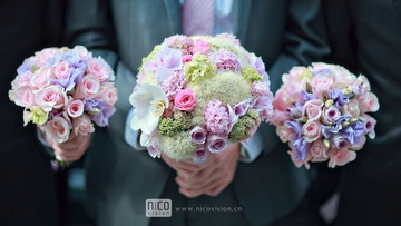 IMG_7995.jpg