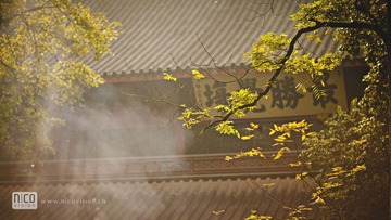 IMG_6984.jpg