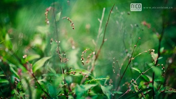 _MG_8398.jpg