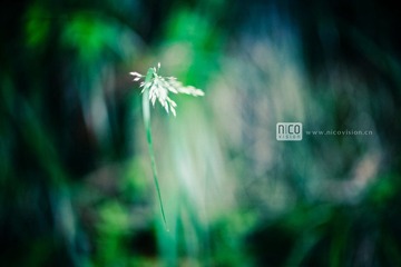 _MG_8402.jpg