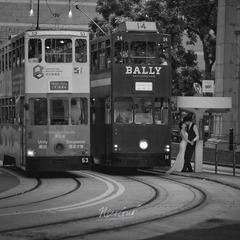 _11R1138.jpg