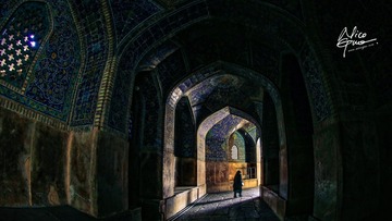 NGF_9536.jpg