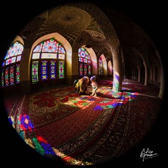 NGF_0535.jpg