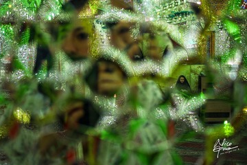 IMG_3955.jpg