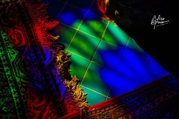 IMG_3883.jpg