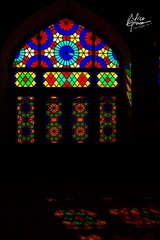 IMG_3884.jpg