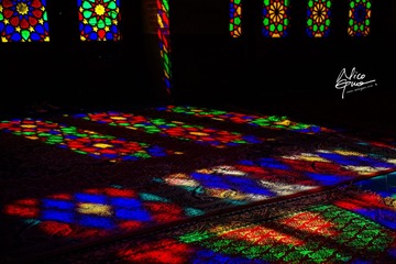 IMG_3892.jpg
