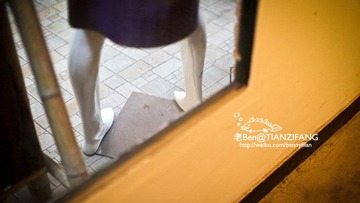 IMG_0380.jpg