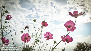 IMG_1332.jpg