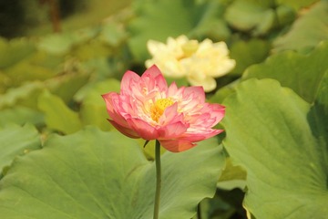IMG_1541.JPG